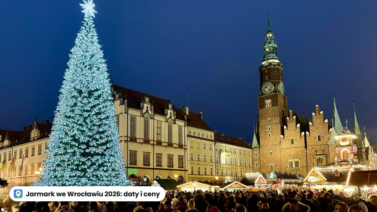 Choinka i domki Jarmarku Bożonarodzeniowego na Rynku we Wrocławiu wieczorem, w tle ratusz